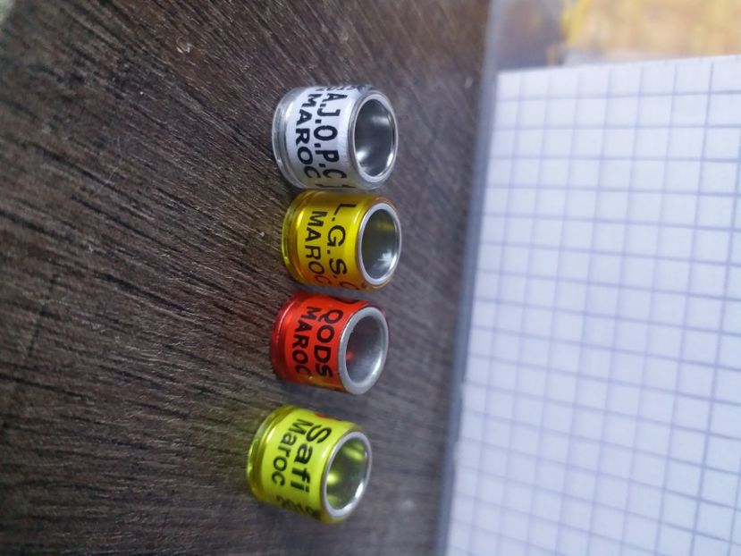 Maroc - Africa si Asia