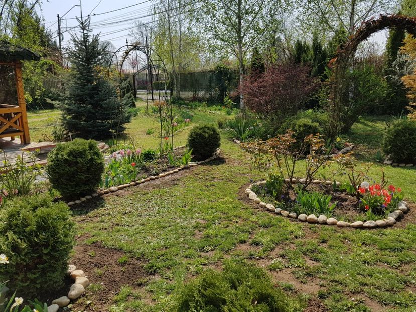  - 2020 Aprilie Gradina Rozelor