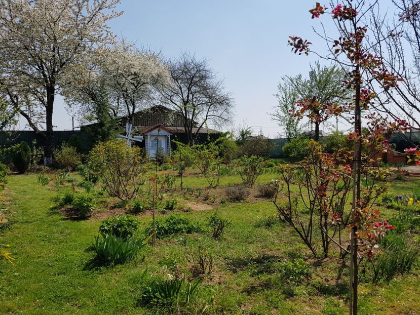  - 2020 Mart-Apr_Idilic garden