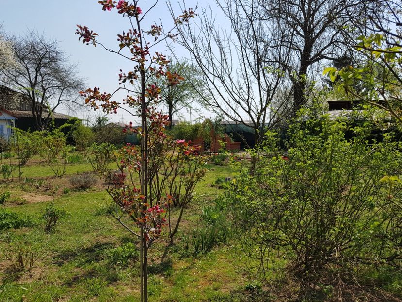  - 2020 Mart-Apr_Idilic garden