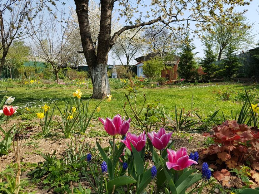  - 2020 Mart-Apr_Idilic garden