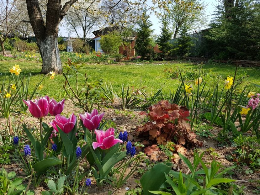  - 2020 Mart-Apr_Idilic garden