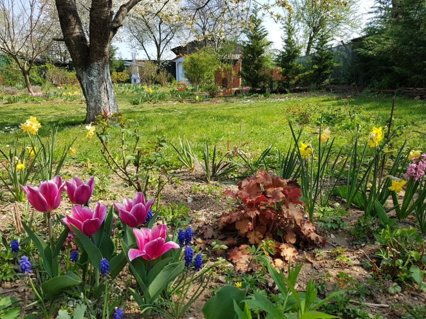  - 2020 Mart-Apr_Idilic garden