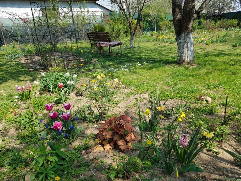  - 2020 Mart-Apr_Idilic garden