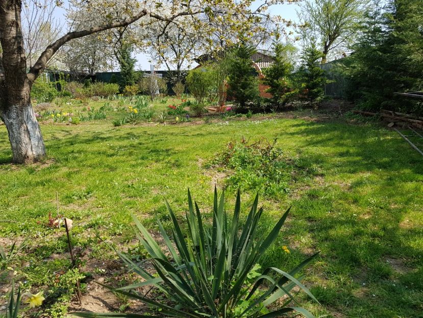  - 2020 Mart-Apr_Idilic garden