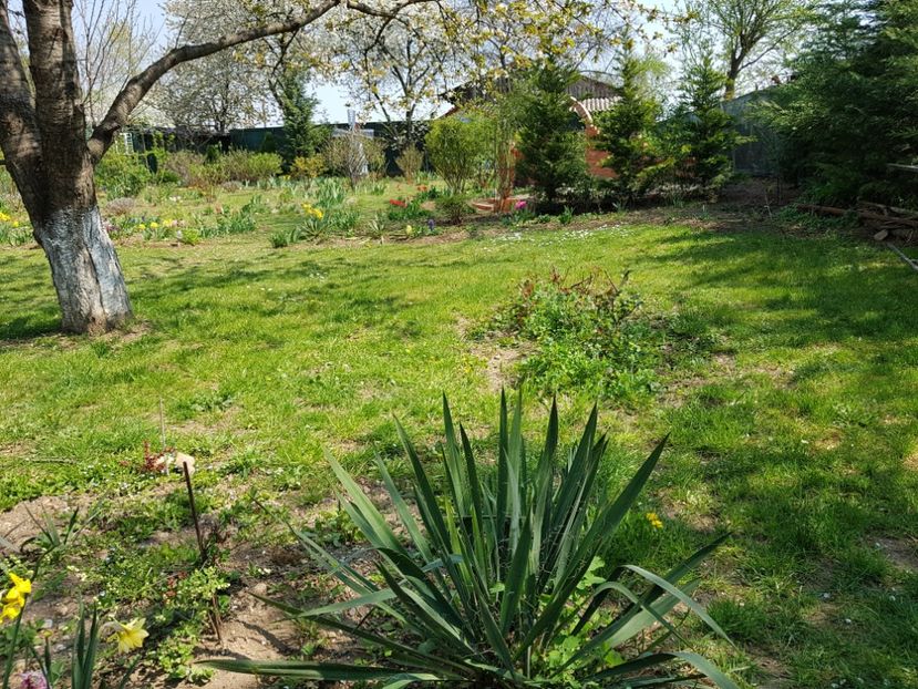  - 2020 Mart-Apr_Idilic garden