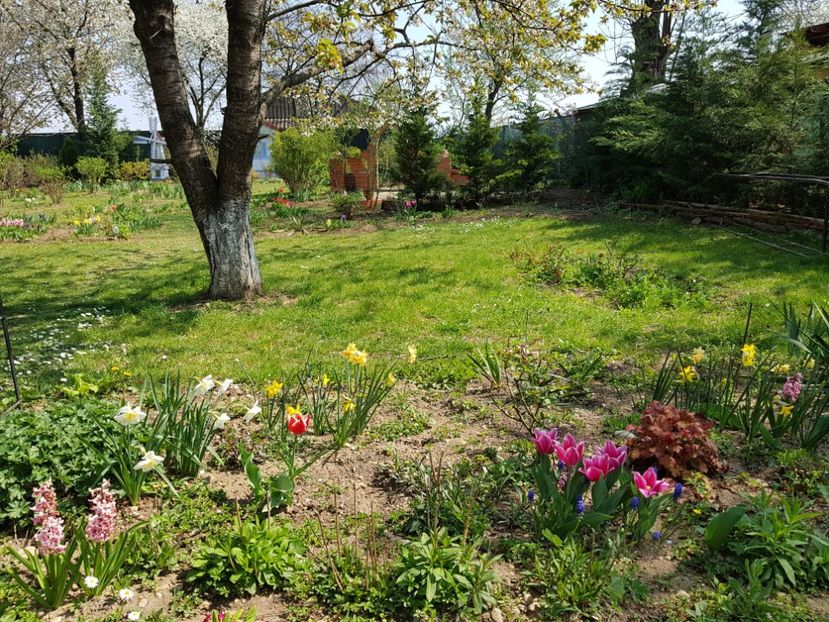  - 2020 Mart-Apr_Idilic garden