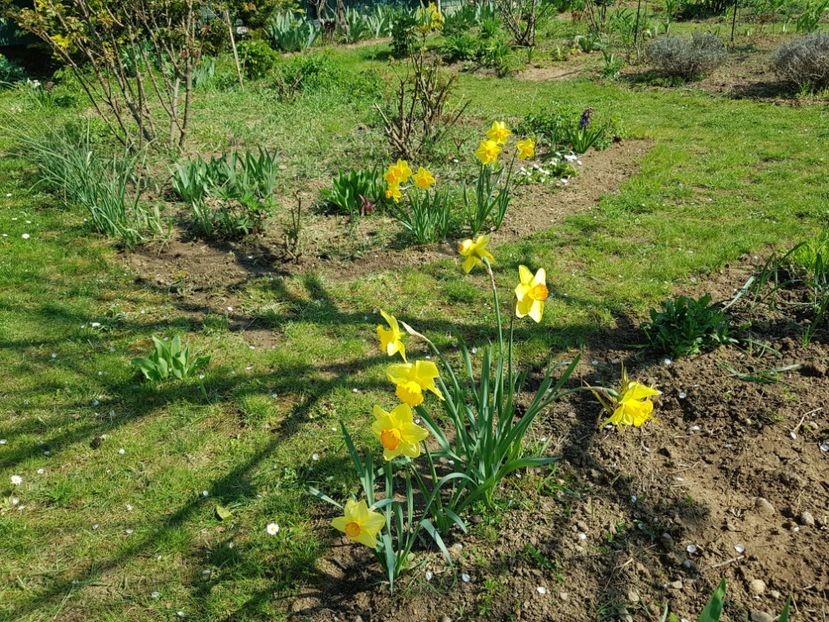  - 2020 Mart-Apr_Idilic garden