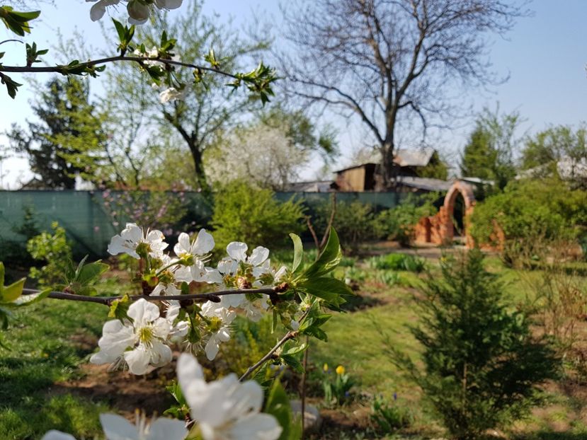  - 2020 Mart-Apr_Idilic garden