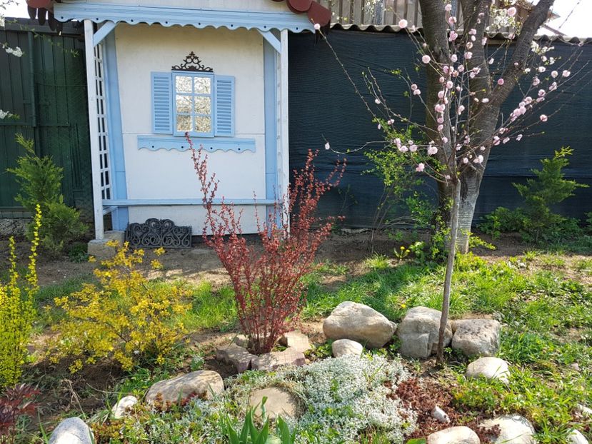  - 2020 Mart-Apr_Idilic garden