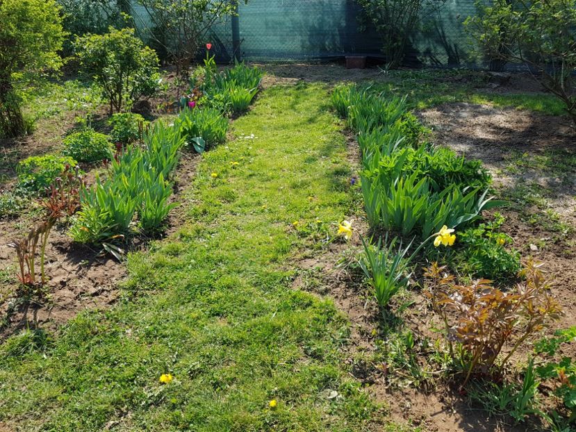  - 2020 Mart-Apr_Idilic garden