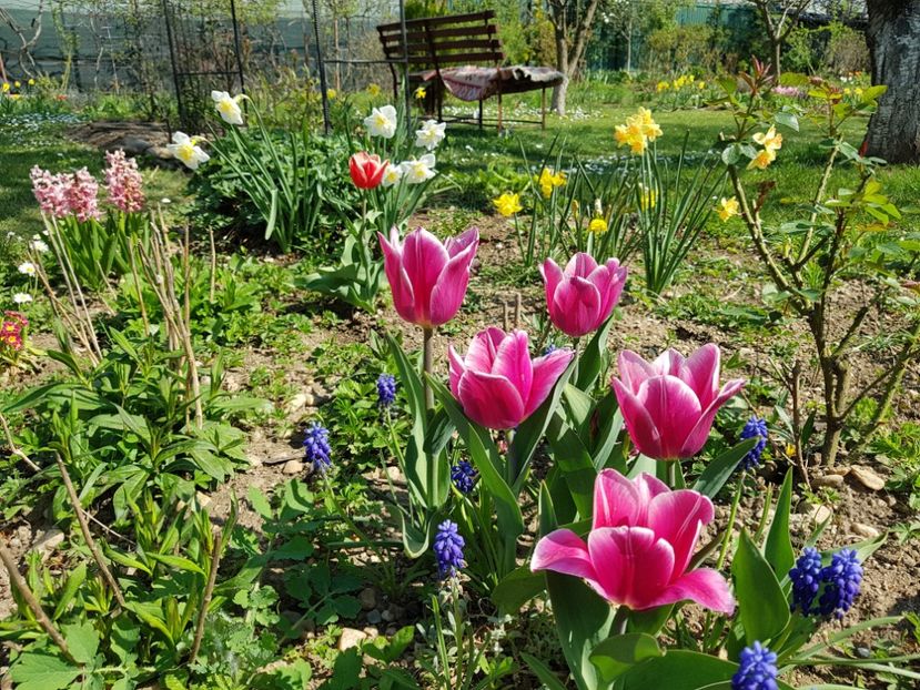  - 2020 Mart-Apr_Idilic garden