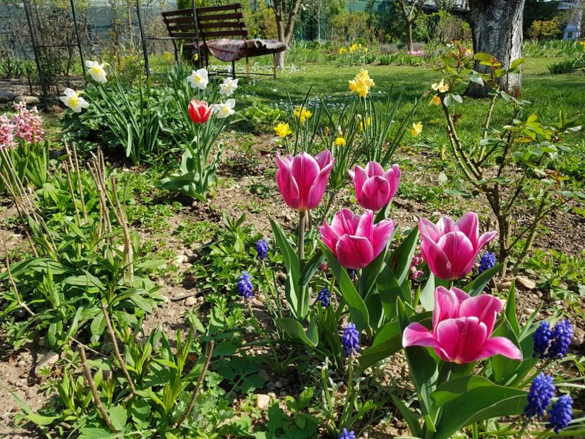  - 2020 Mart-Apr_Idilic garden