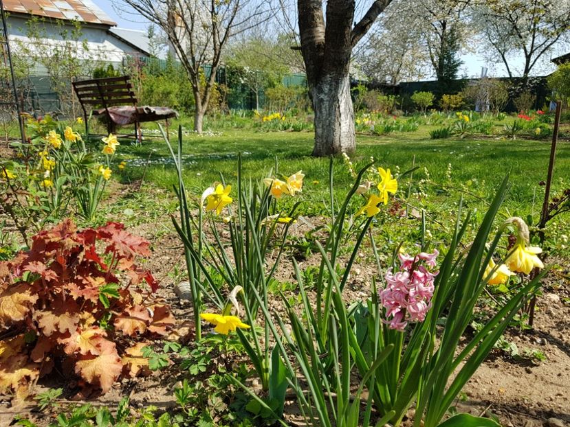  - 2020 Mart-Apr_Idilic garden