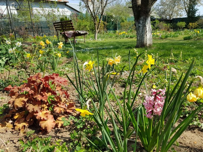  - 2020 Mart-Apr_Idilic garden