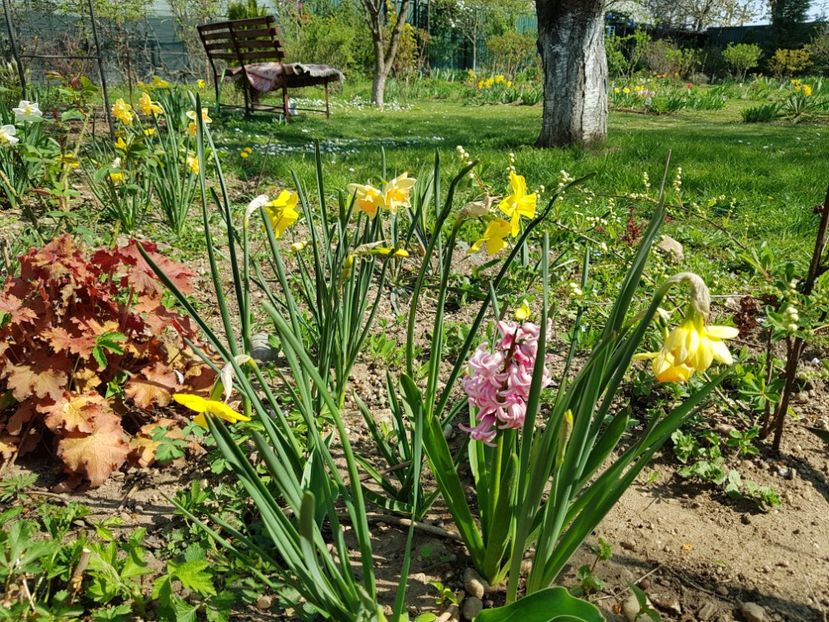  - 2020 Mart-Apr_Idilic garden