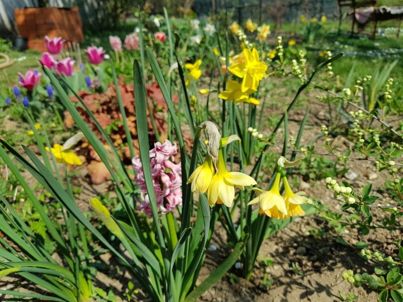  - 2020 Mart-Apr_Idilic garden