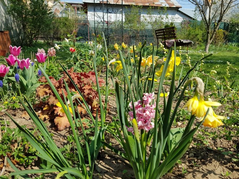  - 2020 Mart-Apr_Idilic garden