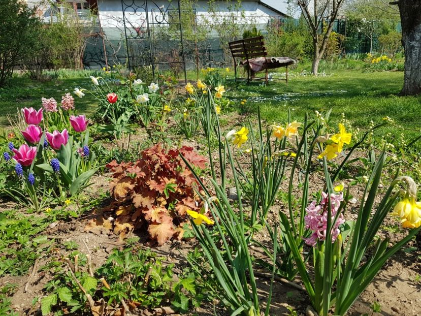  - 2020 Mart-Apr_Idilic garden