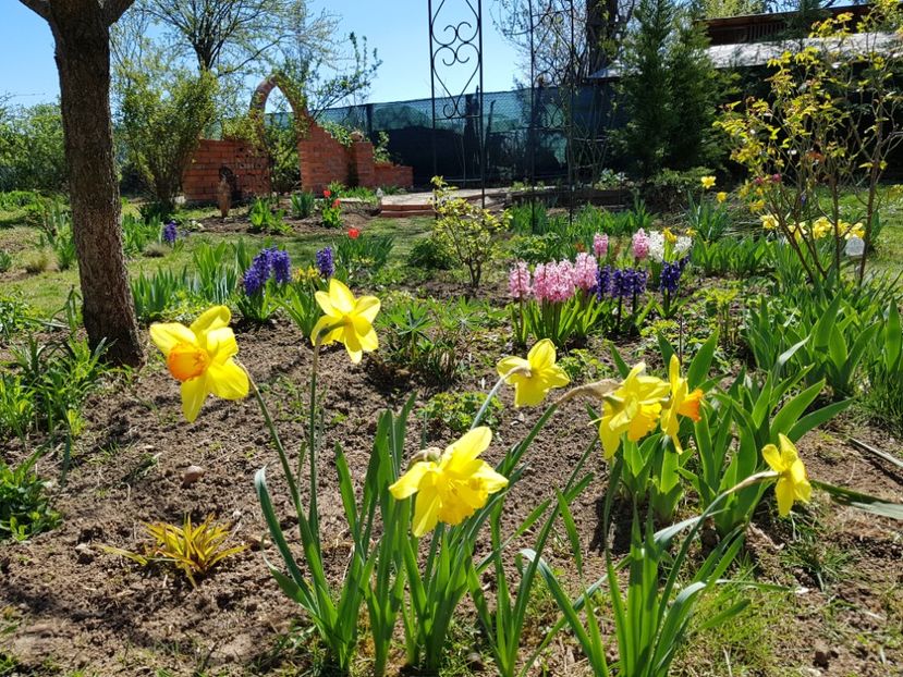  - 2020 Mart-Apr_Idilic garden