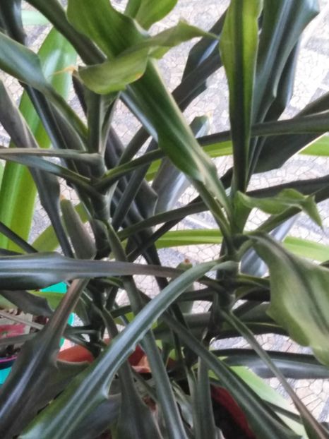 image-aba8df25-8ee8-42d2-bc86-6e3b1ea9e09c6539598202629013936 - dragostea  de natura