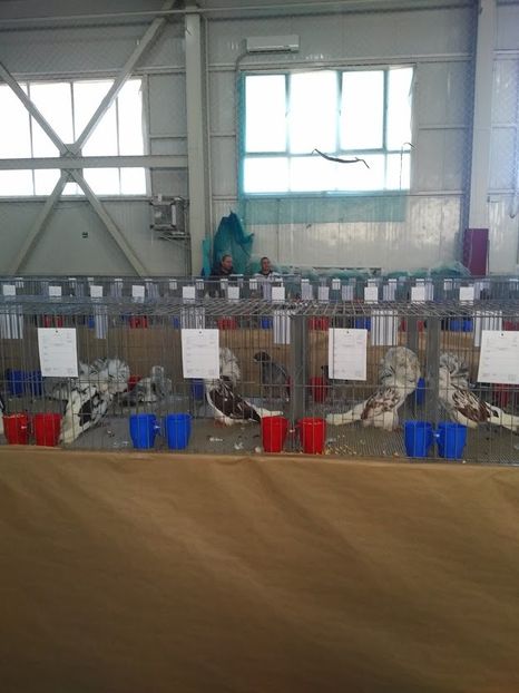  - 1547 Expo Constanta 2020