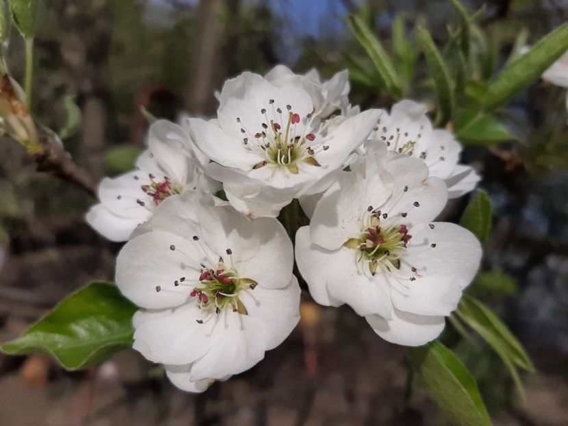  - La țară în aprilie 2020