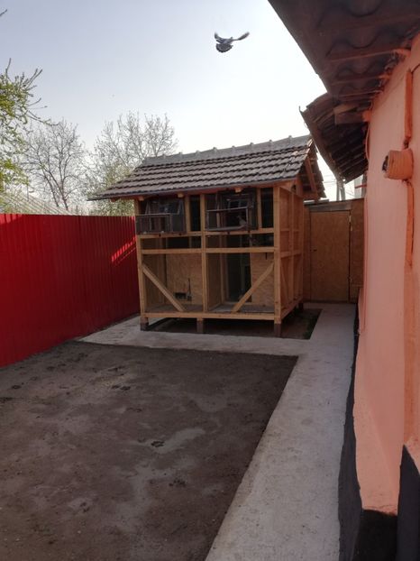  - 2020-Pui Seria întâi