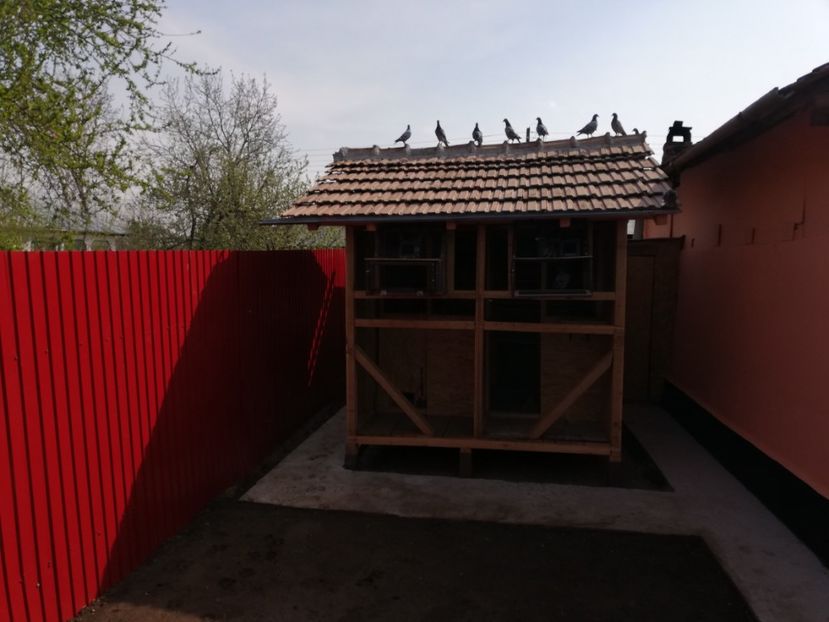  - 2020-Pui Seria întâi