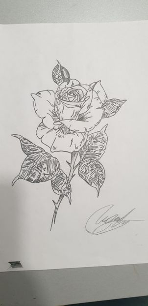 Desenat de baiatul meu Andrei - Flori 2020