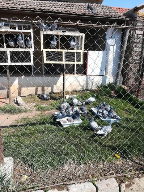 În așteptarea unui sezon care nu mai începe - Lot 2020