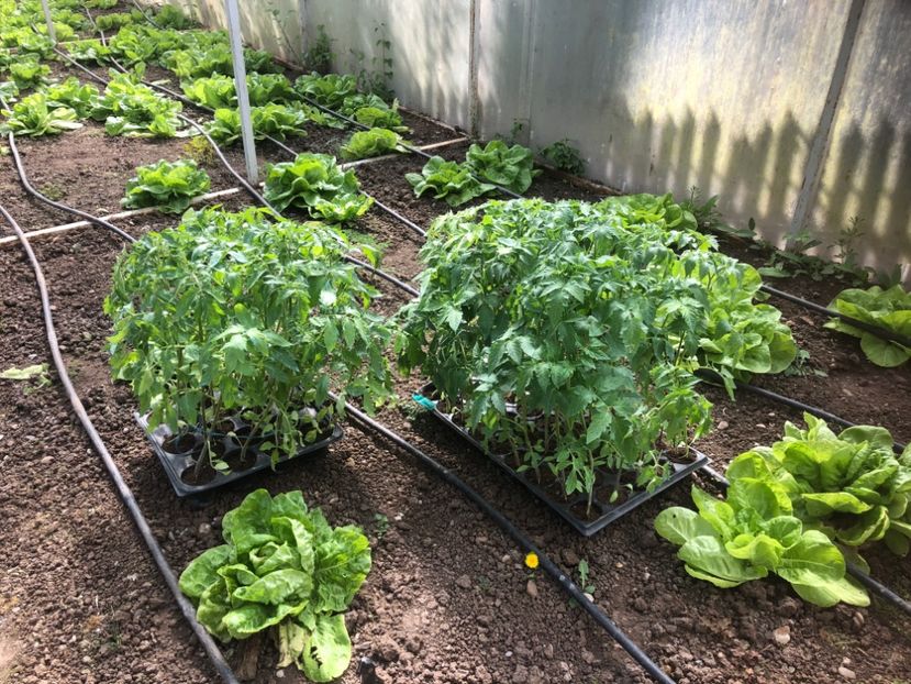 8E2084AF-19BD-456E-926D-7072885FE84C - Sera 2017 2021