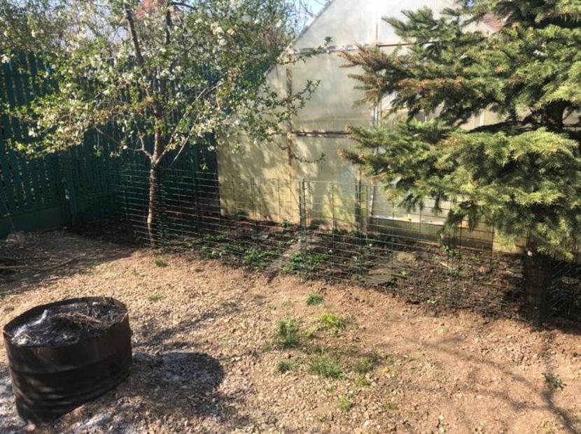 EDC0F1E5-E975-435D-BB0F-5A4AF6756BD9 - 0021 GRADINA IN 2018 2020