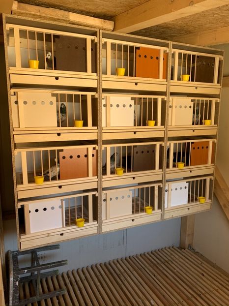 Compartiment matca - 1 A new beginning