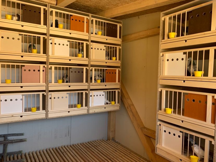 Compartiment matca - 1 A new beginning