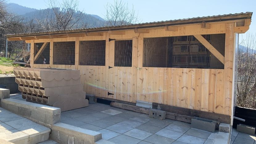 626C22C6-3ED4-4A55-A9C0-E0CA7D77E946 - 1 A new beginning