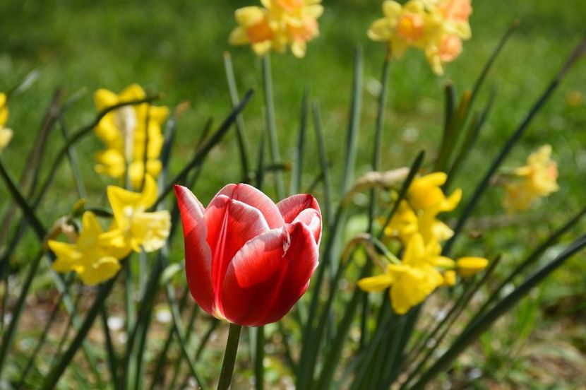 Leen van der Mark - 2020 Aprilie