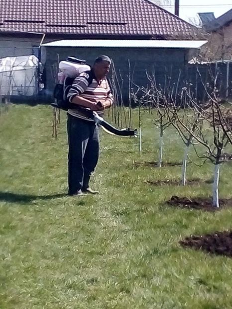 WhatsApp Image 2020-04-12 at 20.53.38 (6) - 001 Activitate la Cordun 2