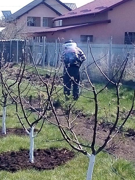 WhatsApp Image 2020-04-12 at 20.53.38 (12) - 001 Activitate la Cordun 2