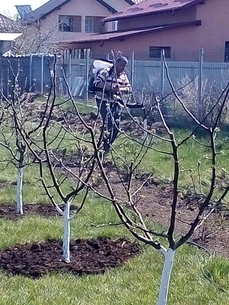 WhatsApp Image 2020-04-12 at 20.53.38 (14) - 001 Activitate la Cordun 2