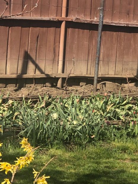 WhatsApp Image 2020-04-12 at 21.22.43 (9) - 00 Acttivitati Roman