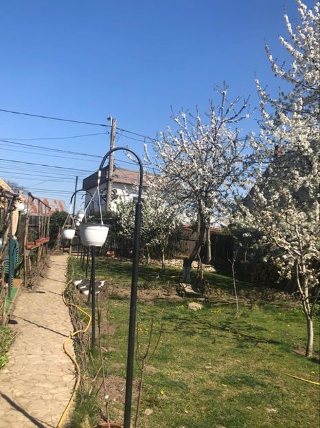 WhatsApp Image 2020-04-12 at 21.22.43 (28) - 00 Acttivitati Roman