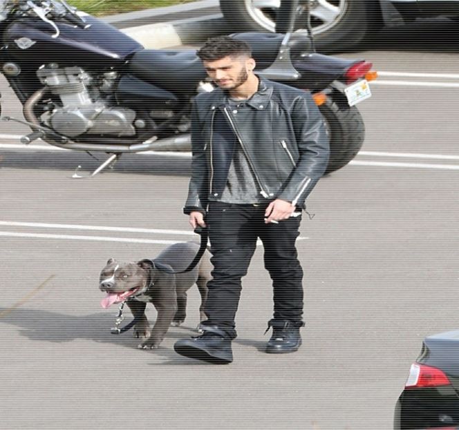 — Întrebarea adresată pe urmă forţează coborârea colţurilor gurii, dar, în schimb, producerea - 11 Quit talking all that nonsense