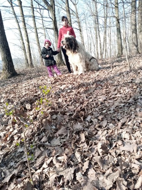  - ciobanesc mioritic