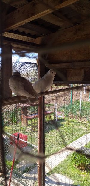 IMG-20200411-WA0037 - Kamaromi 2015-2023