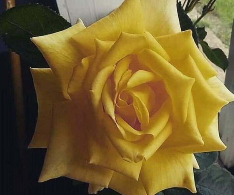  - - O - Fotografii x