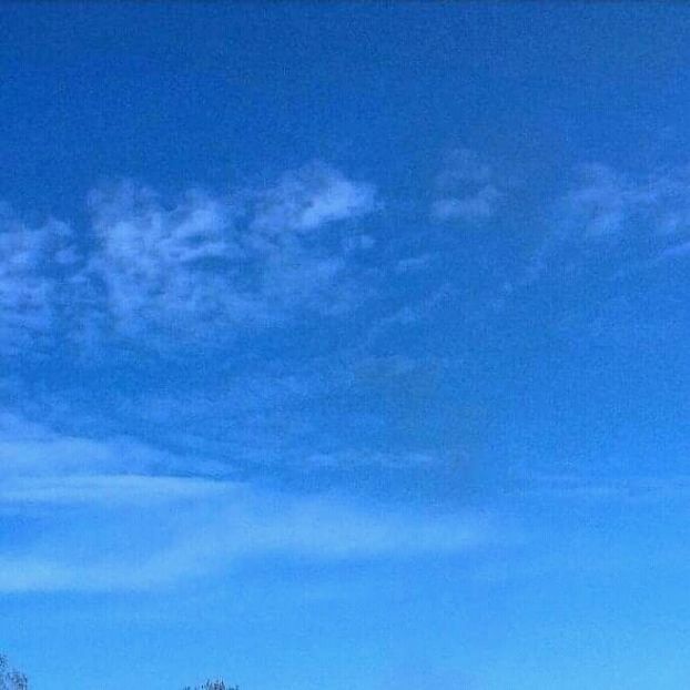 2020 - - O - Fotografii x