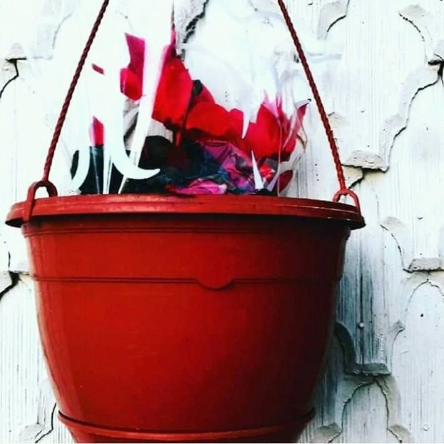 2020 - - O - Fotografii x