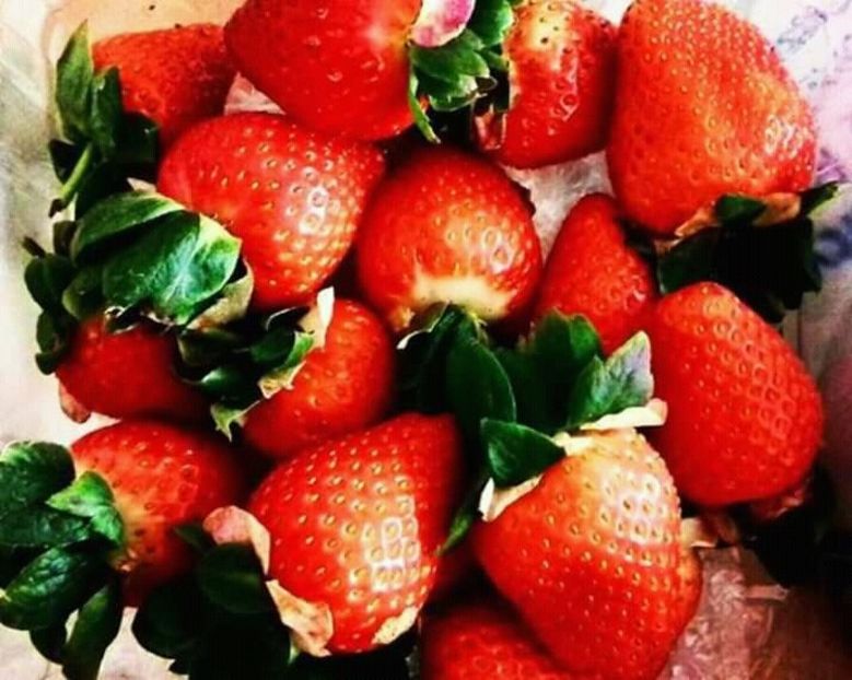  - - O - Fotografii x