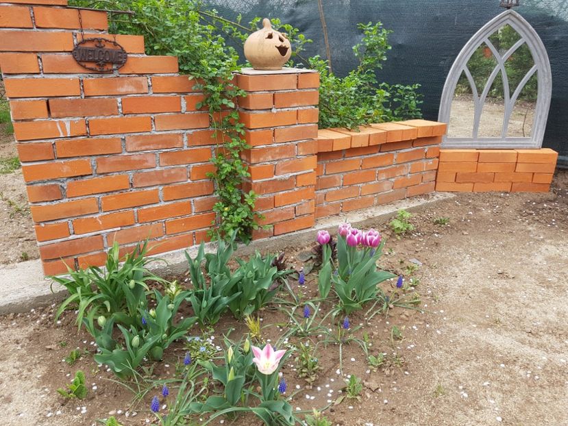  - 2020 Aprilie_Proiectul Cetatuia